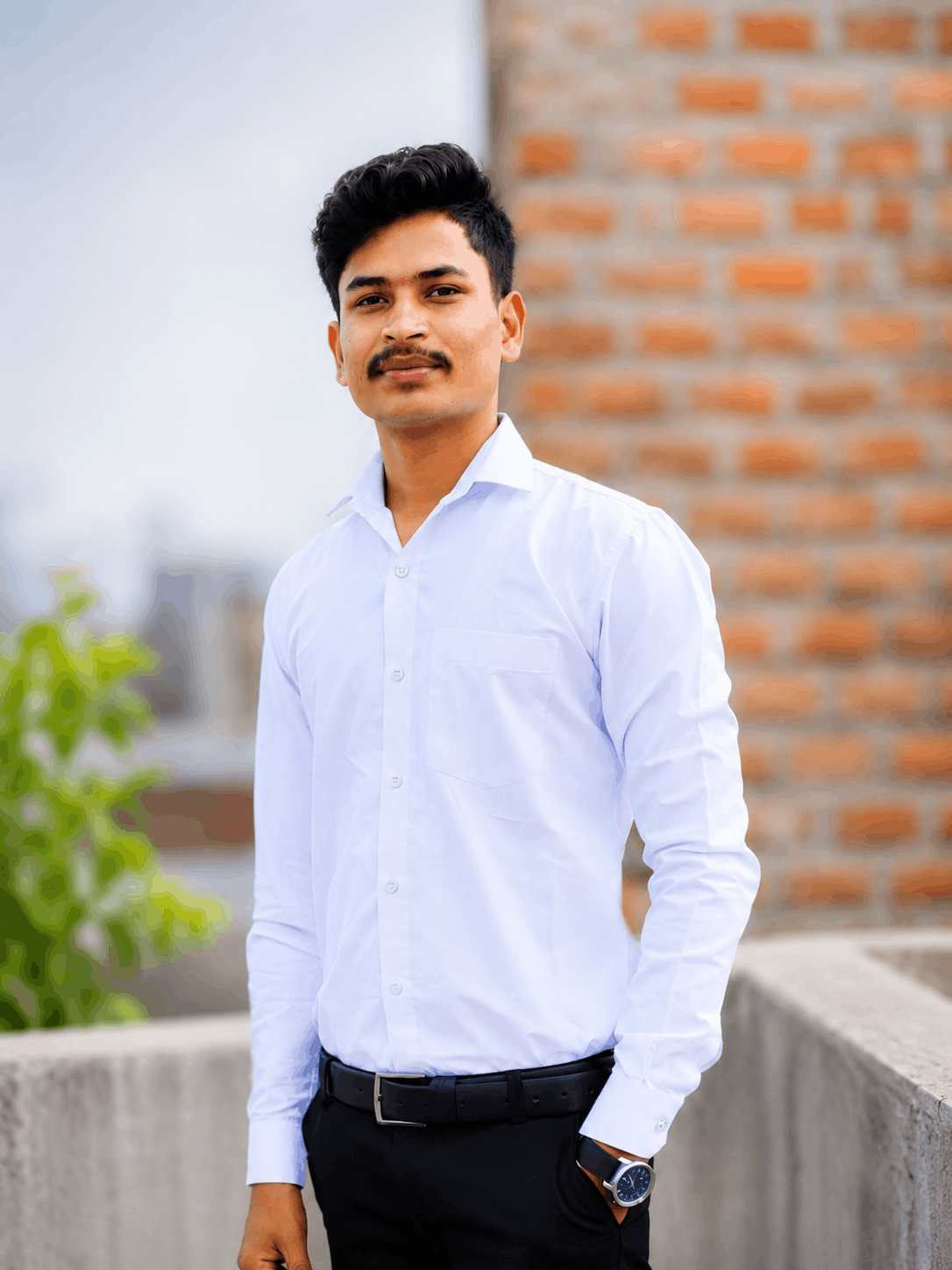 Team Member